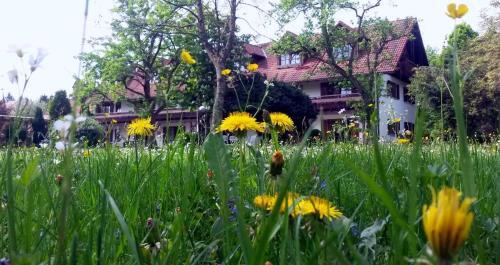 Pension Aufeld