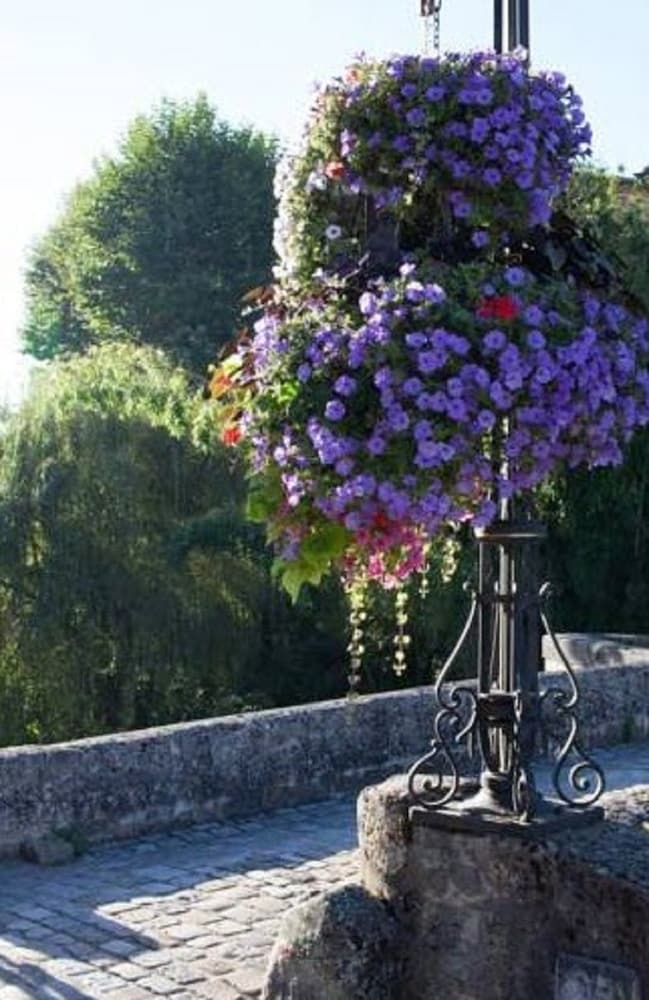 Gite Pont Vieux