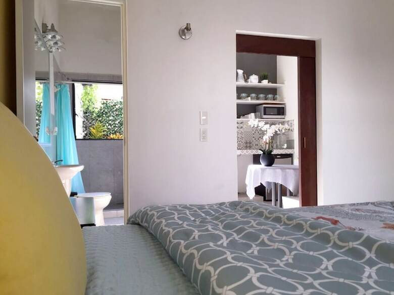 Hotel Downtown Suites