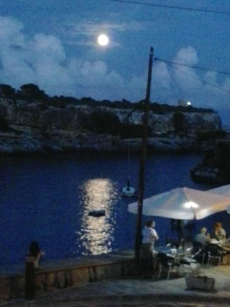 Villa Flor