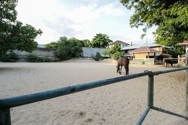 Hotel Oyo 817 Mesari Beach Inn