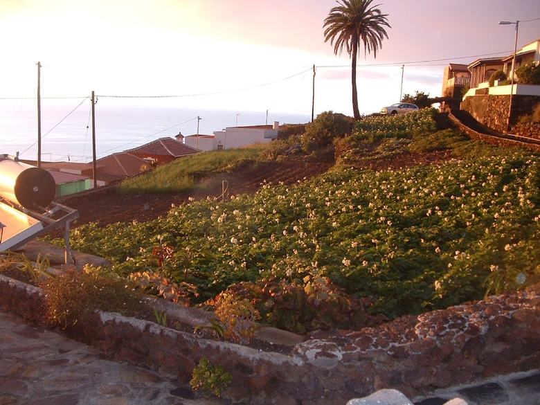 Agroturismo Casa Los Vi�edos