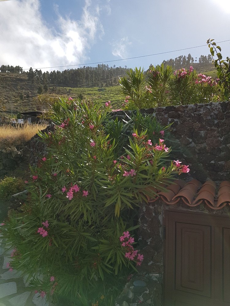 Agroturismo Casa Los Vi�edos