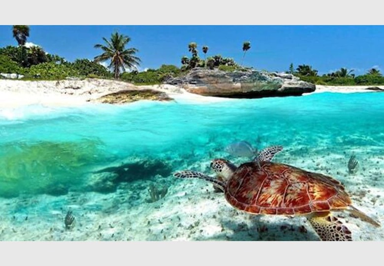 Baru Luxury Homes Cozumel