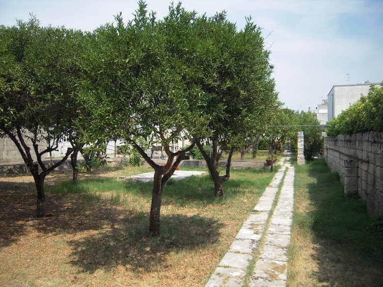 Apartamento Villa Raffaela