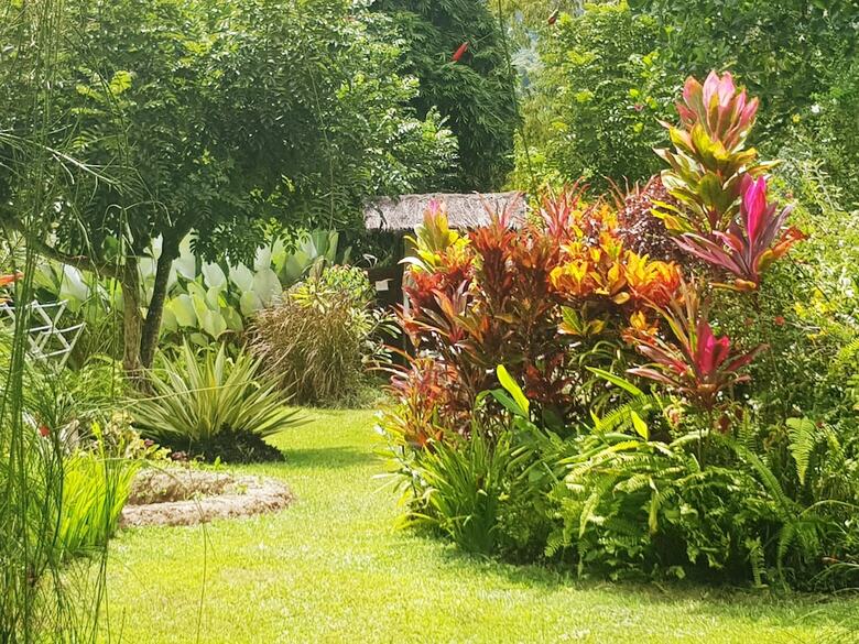 Bed & Breakfast Thousand Hills Ketambe