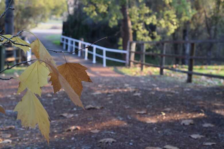 Brockman Park Estate