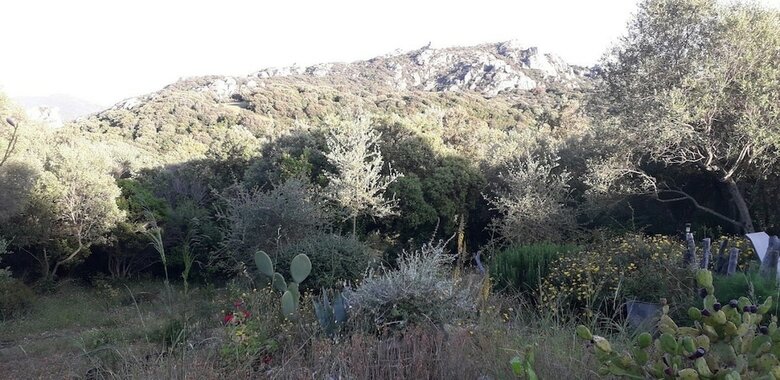 Bed & Breakfast Stazzu La Capretta