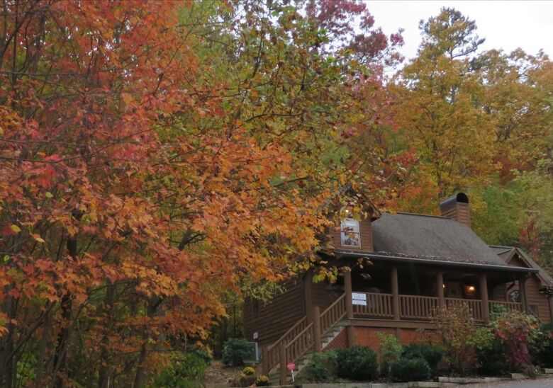 Parkside Haven - Two Bedroom Cabin