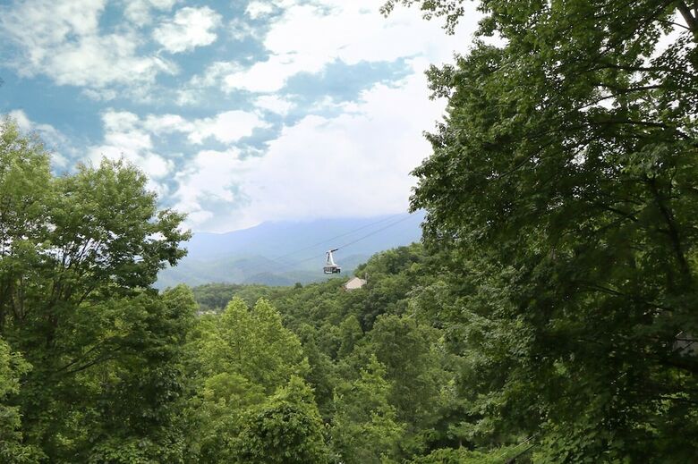 Million Dollar View - Four Bedroom Cabin