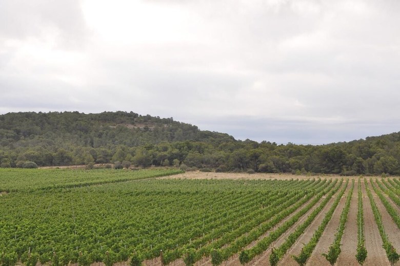 Domaine de Saint Obre