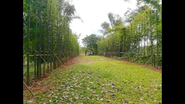 Hotel Bamboo Grove Chiang Mai