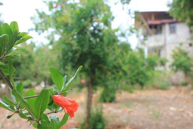Hotel Kas Dogapark Otel