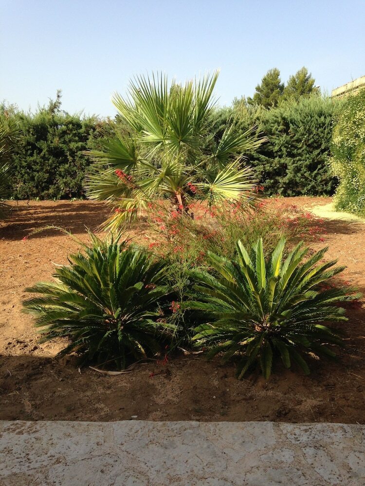 Il Mirto E L'agave Near The Beach