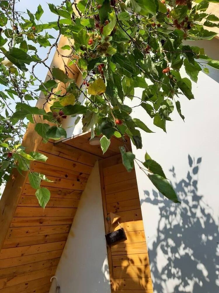 Hostal Dalat Teepee - Hostel