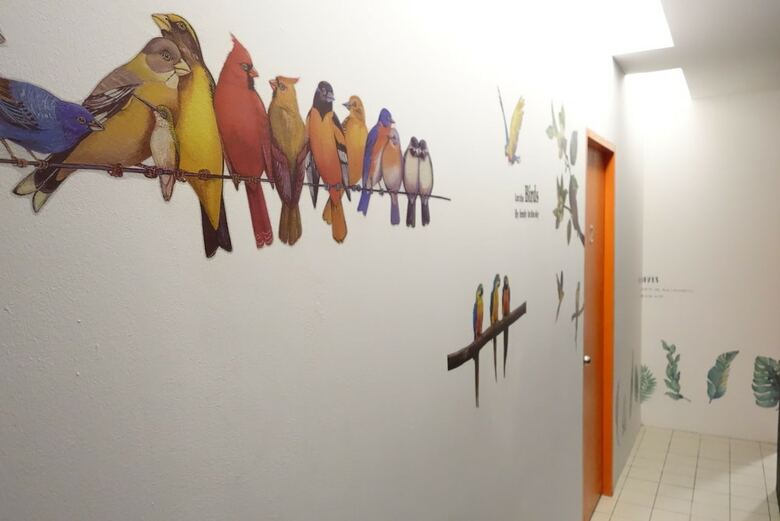 Hostal Hornbill Hostel