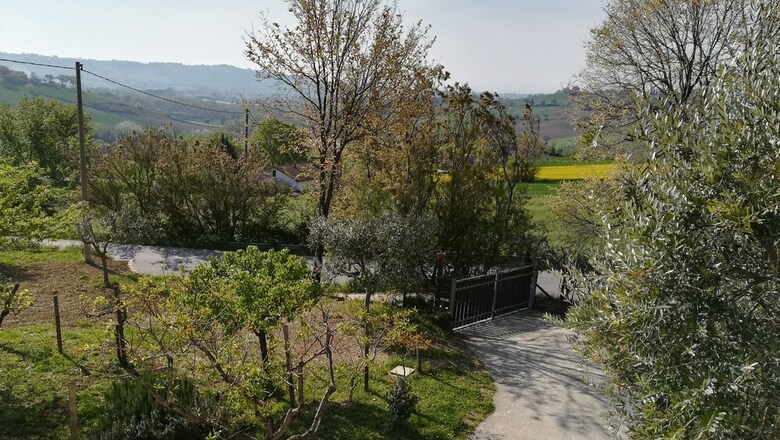 B&B Sotto L'ulivo