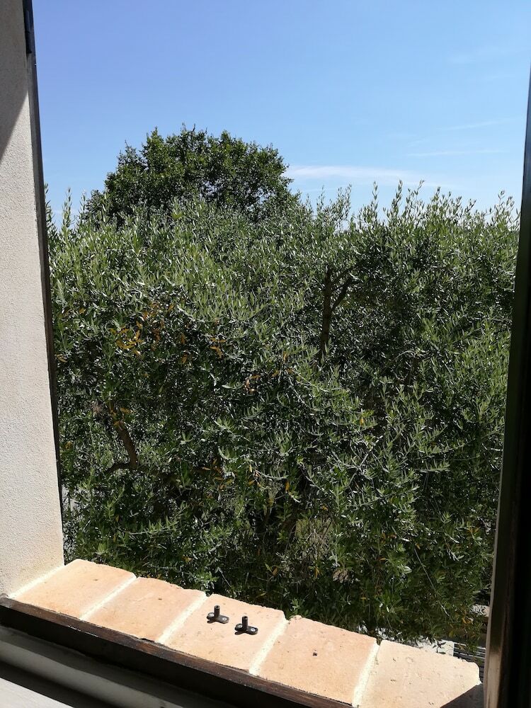 B&B Sotto L'ulivo