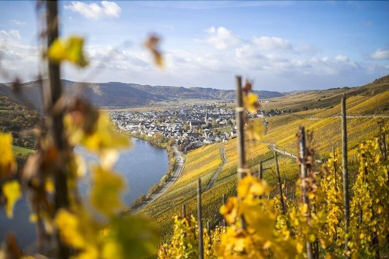 Aparthotel Rieslingquartier - Mosel Wein Hotel