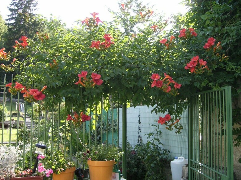 Joli Jardin - Holiday Home