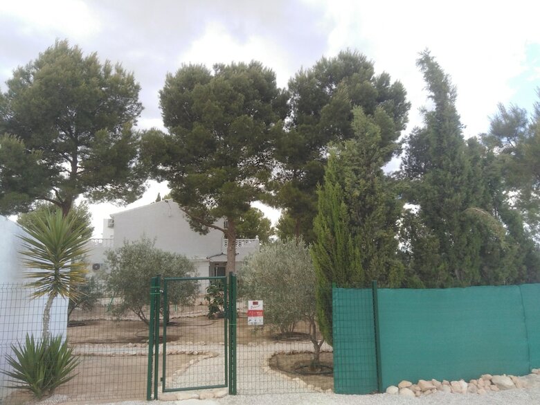 Bed & Breakfast Alegr�a