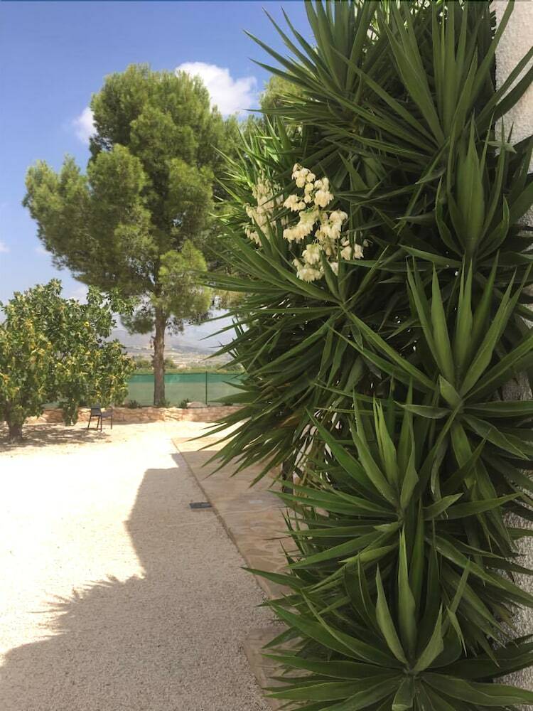 Bed & Breakfast Alegr�a
