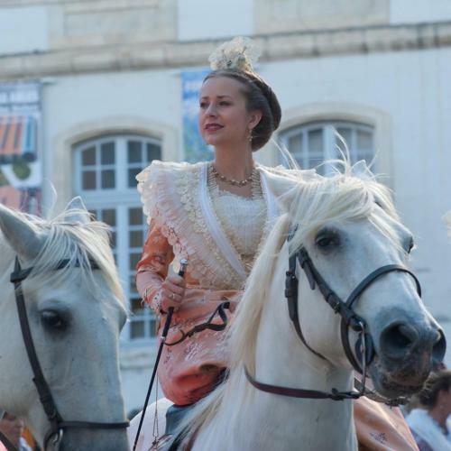 Hotel H�tel Le Neptune En Camargue