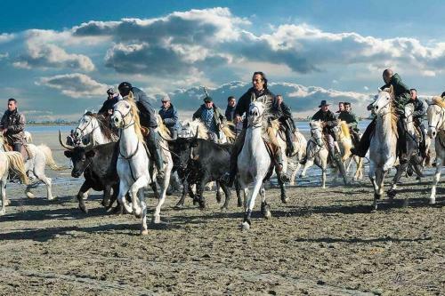 Hotel H�tel Le Neptune En Camargue