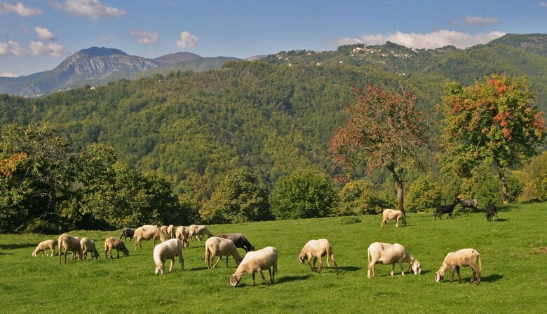Apartamento La Locanda Del Moro