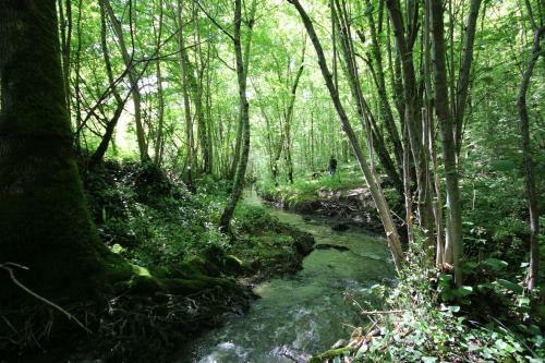 Agroturismo Chambre D'hotes Cugnac