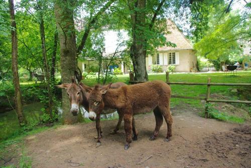 Hostal Le Moulin Du Bas Pes�