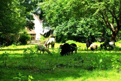 Hostal Le Moulin Du Bas Pes�