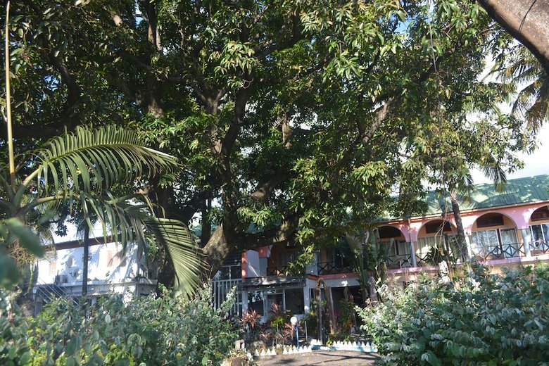 Hotel H�tel Les Arcades