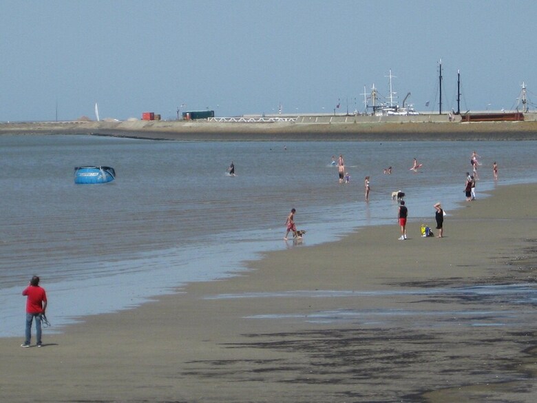 Recreatie de Zeehoeve - Campsite