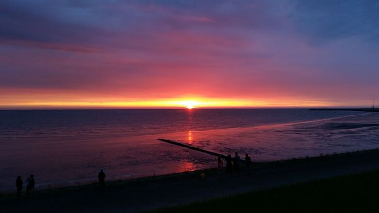 Recreatie de Zeehoeve - Campsite