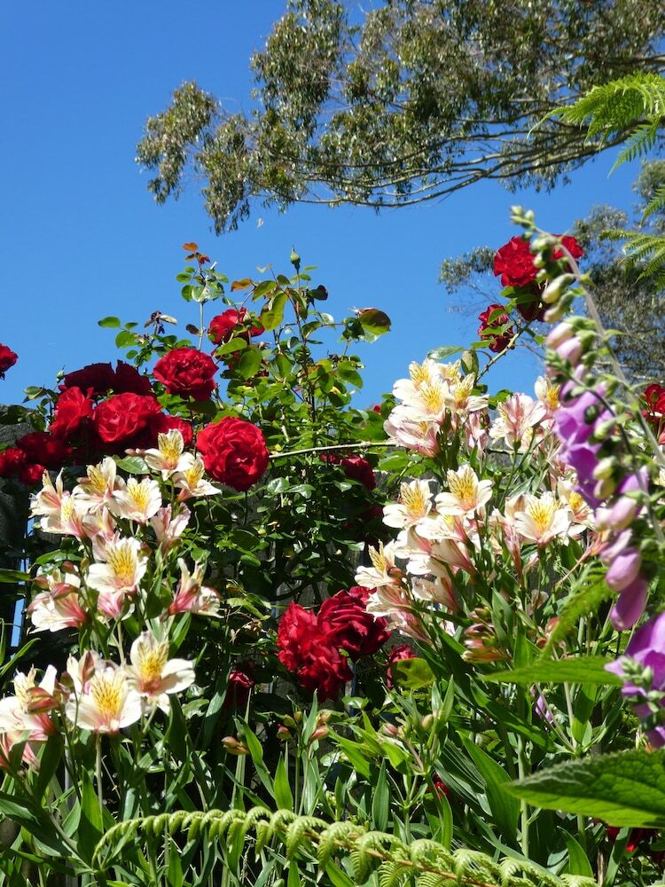 99 Tihi Rd Bed & Breakfast