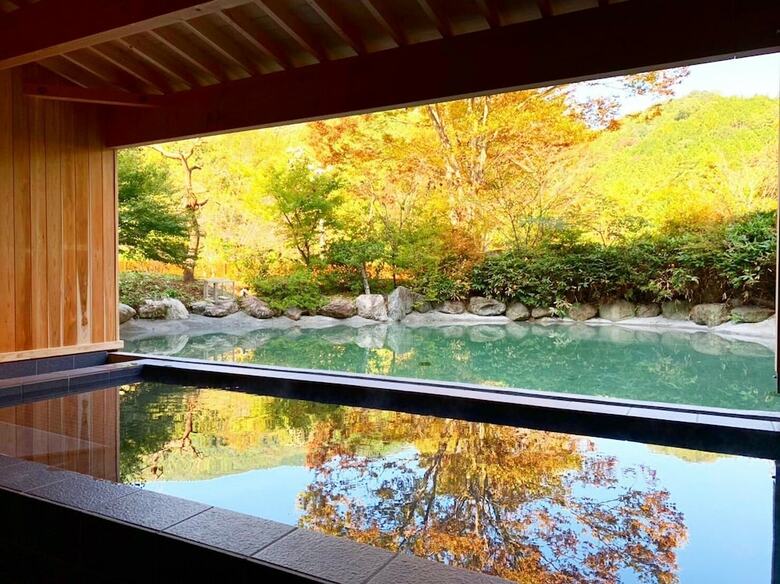 Gunma Fujioka Mori No Onsen Hotel
