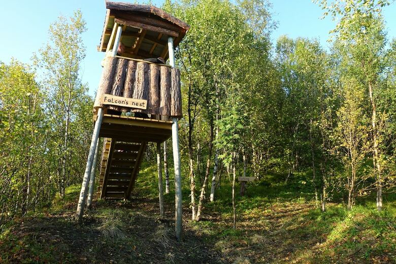 Wild Caribou Dome & Wilderness Cabin