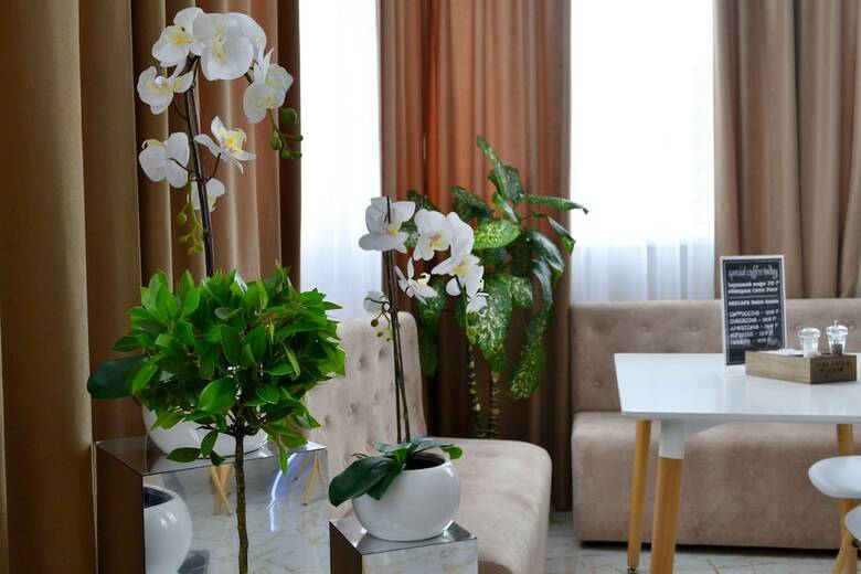 Park & House Hotel