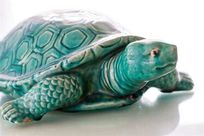 258-turtle Trax