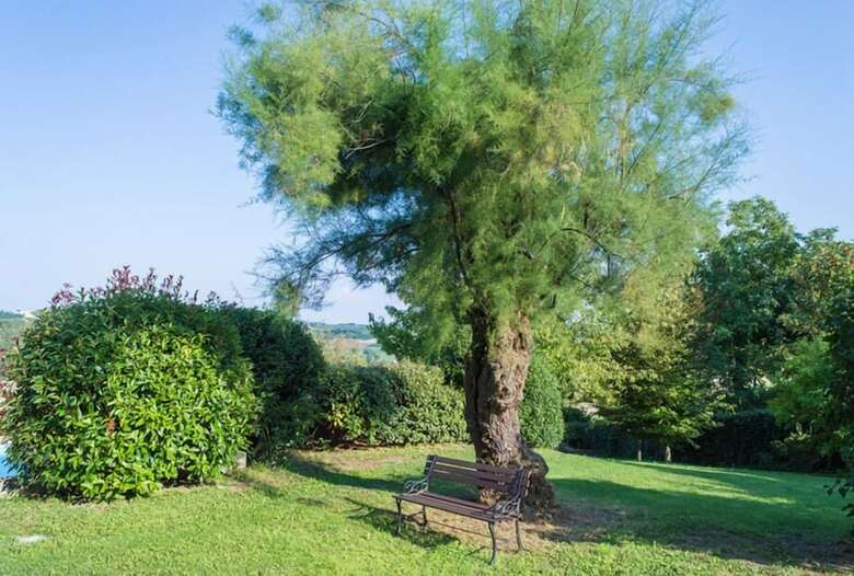 Bed & Breakfast Casa Rovelli