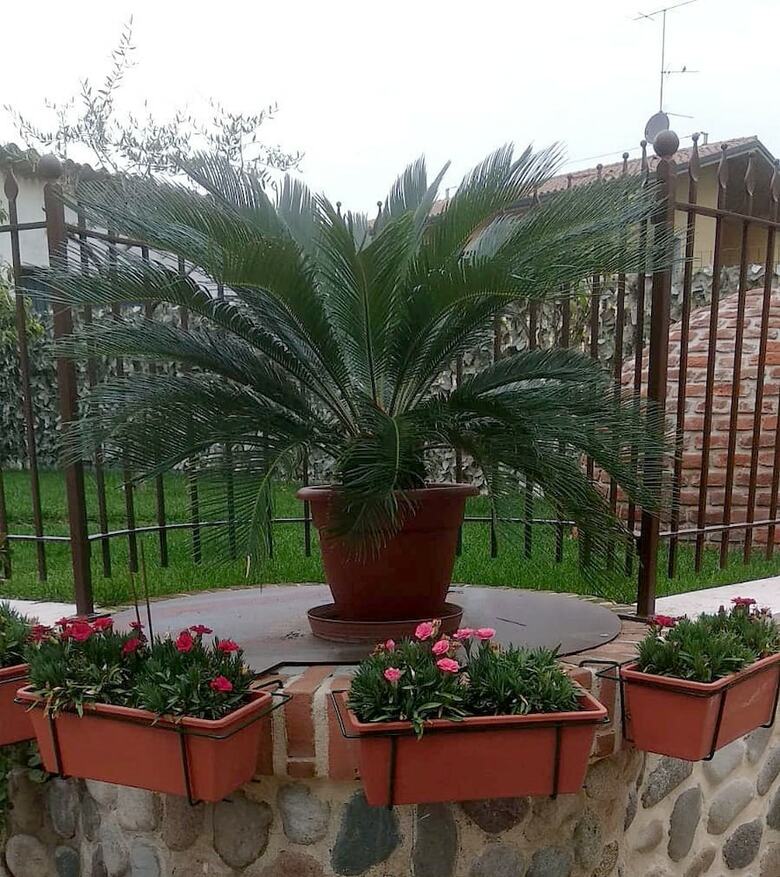 B&B Pozzo Dei Desideri