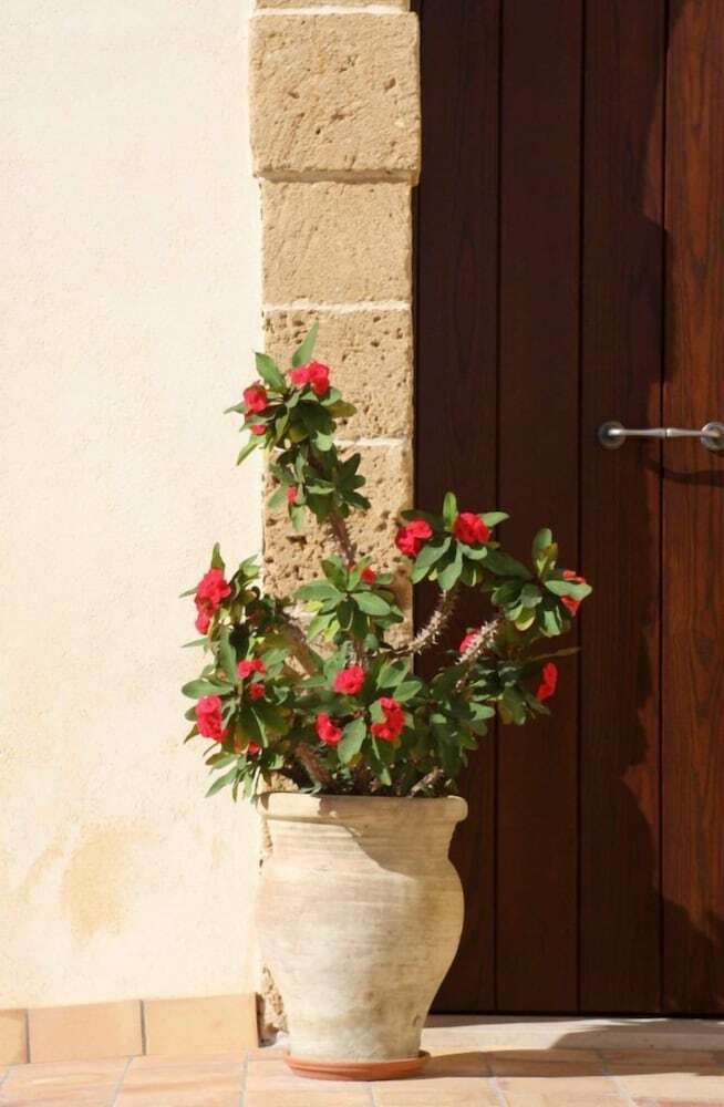 Apartamento L'antico Trappeto Holiday Home