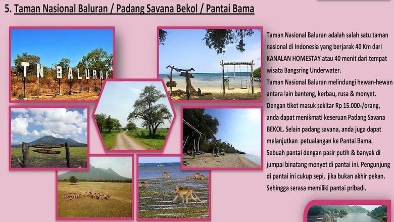 Villa Kanalan Homestay