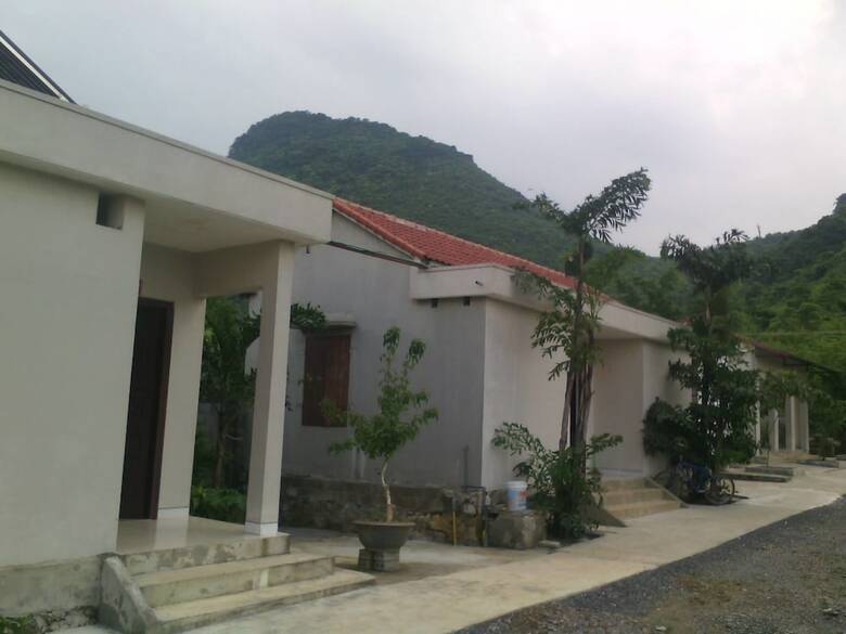Hotel Cuc Phuong Bungalow
