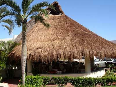 Hotel Ocean Club Suites