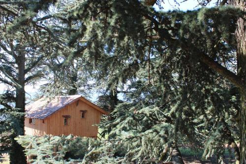 Hostal Domaine Des Grands C�dres - Maison D'h�tes