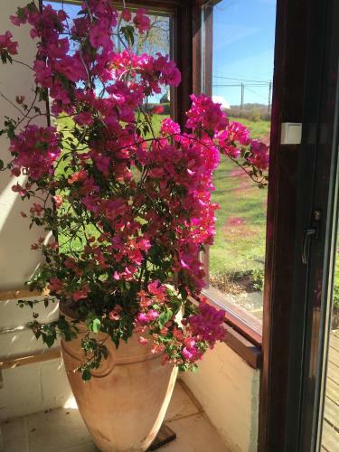 Bed & Breakfast Le Moulin De L`epinay