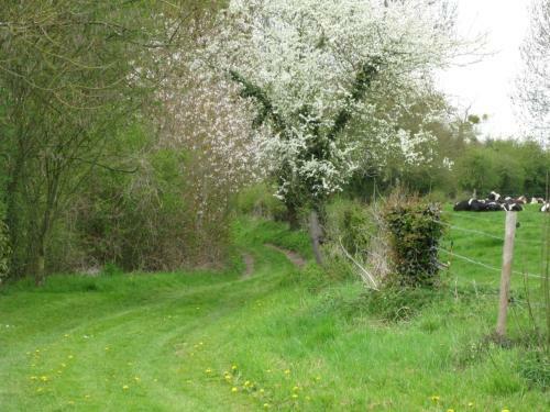 Bed & Breakfast Le Moulin De L`epinay