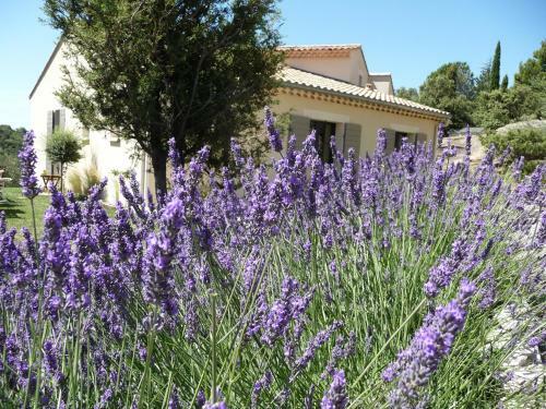 Bed & Breakfast Chambres D'h�tes L'ol�a De Romane